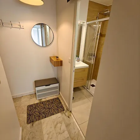 T1 Bis Renove Et Parking Apartament Grenoble