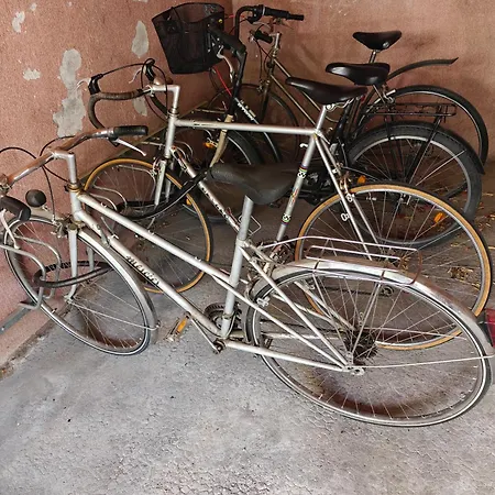 T1 Bis Rénové Et Parking