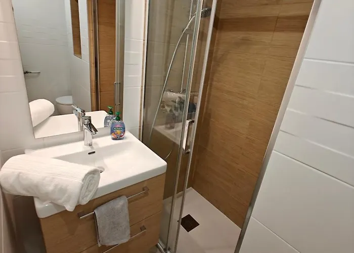 T1 Bis Renove Et Parking